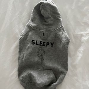 SLEEPY OVERSIZED HOODIE GRAY (SMALL)
